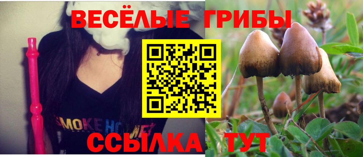 Нефтеюганск  Галлюциногенные грибы Psilocybe  Псилоцибиновые грибы прущие грибы  где купить   Вход с VPN 