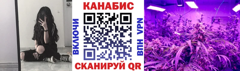 как найти закладки  Нефтеюганск  KRAKEN как войти  Каннабис Amnesia 